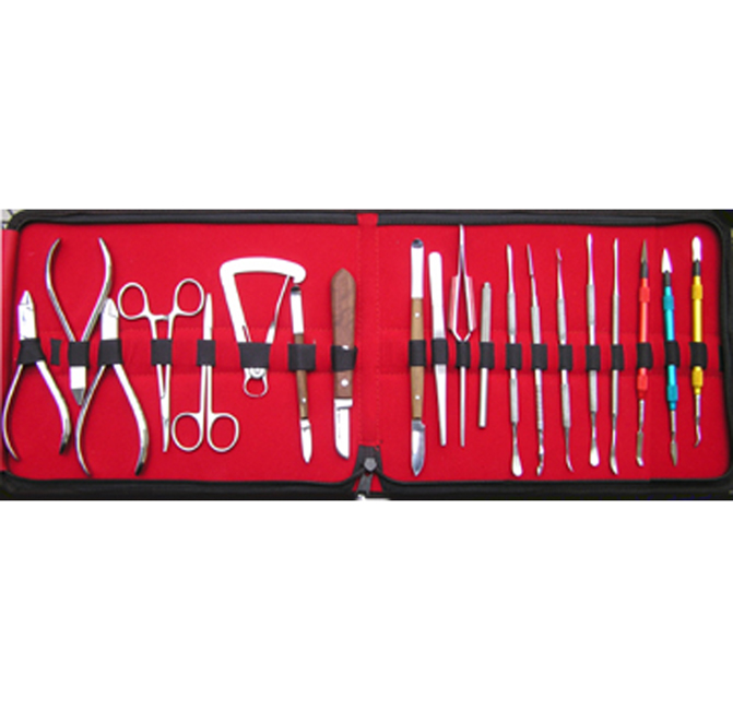 DELUXE DENTAL TOOL KIT - Click Image to Close
