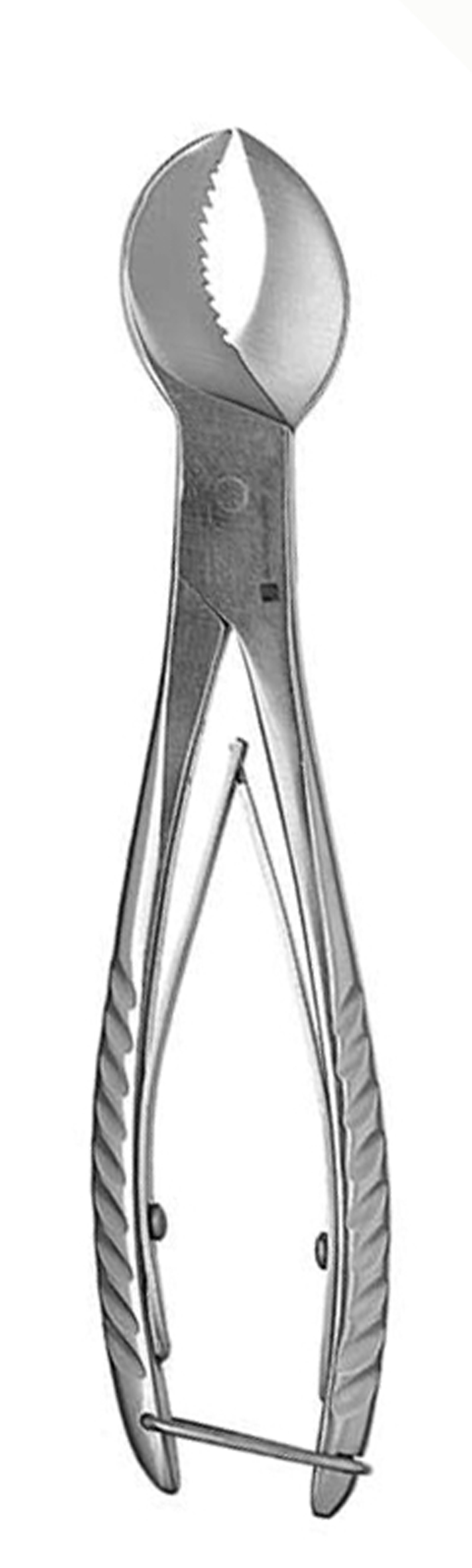 PLASTER CUTTER, PLIER (LARGE - Click Image to Close